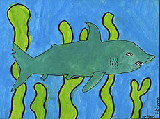 Artwork: Shark