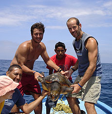 Group with sea turtle