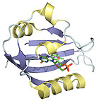 Image of protein structure