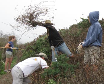 volunteers work on earthen berm