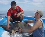 photo of fishermen with sea turtle